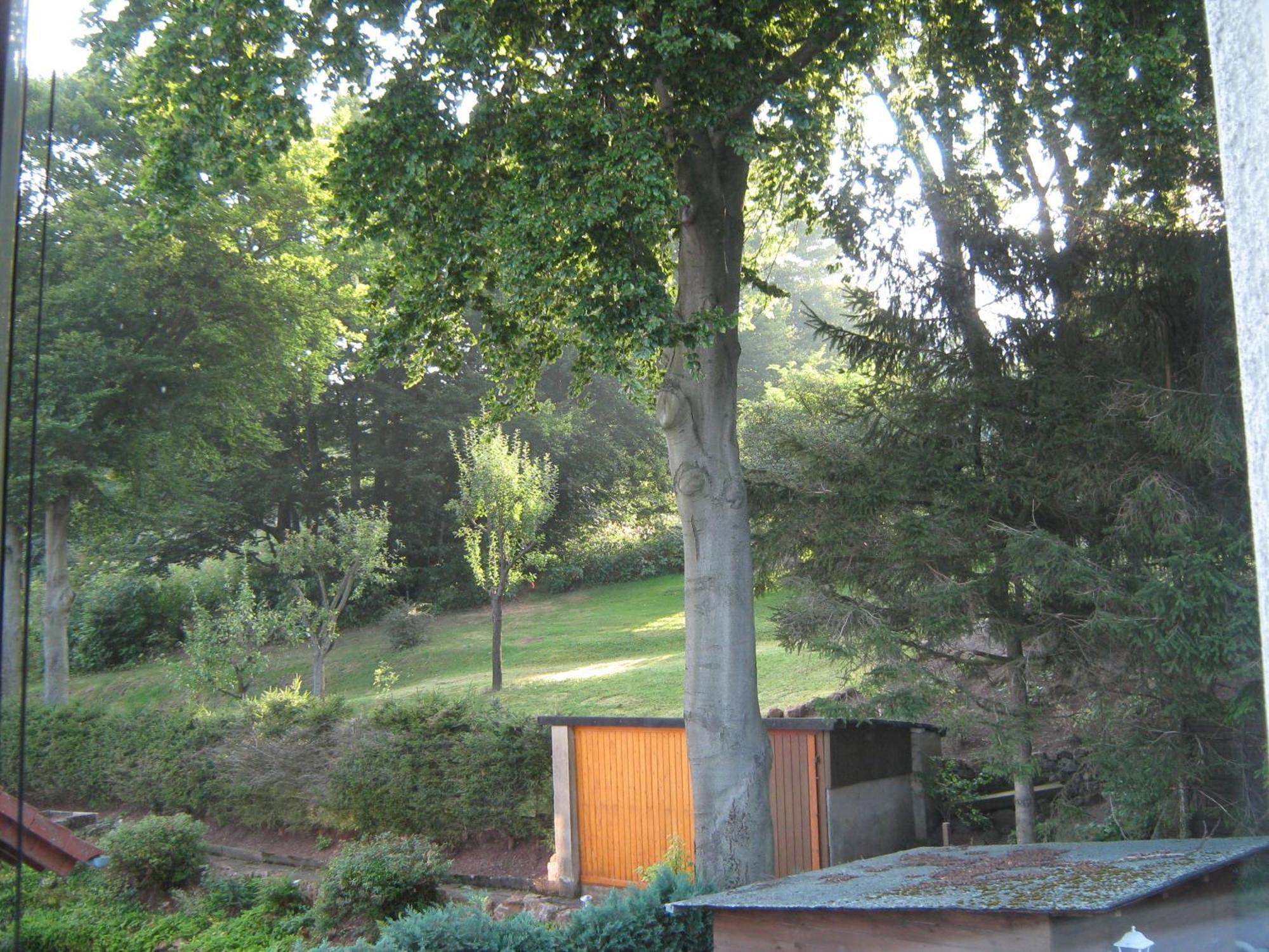 Ferienwohnung Sauerland Panorama Korbach Eksteriør bilde